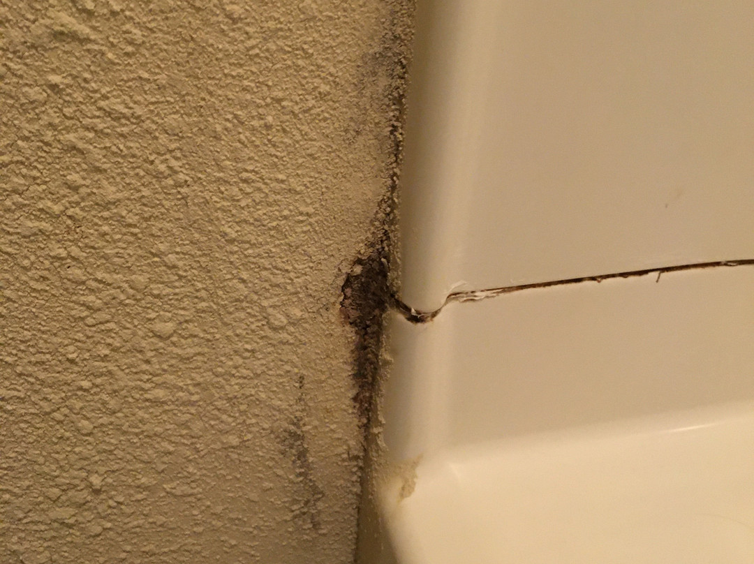 Baymont by Wyndham St. Ignace Lakefront主图