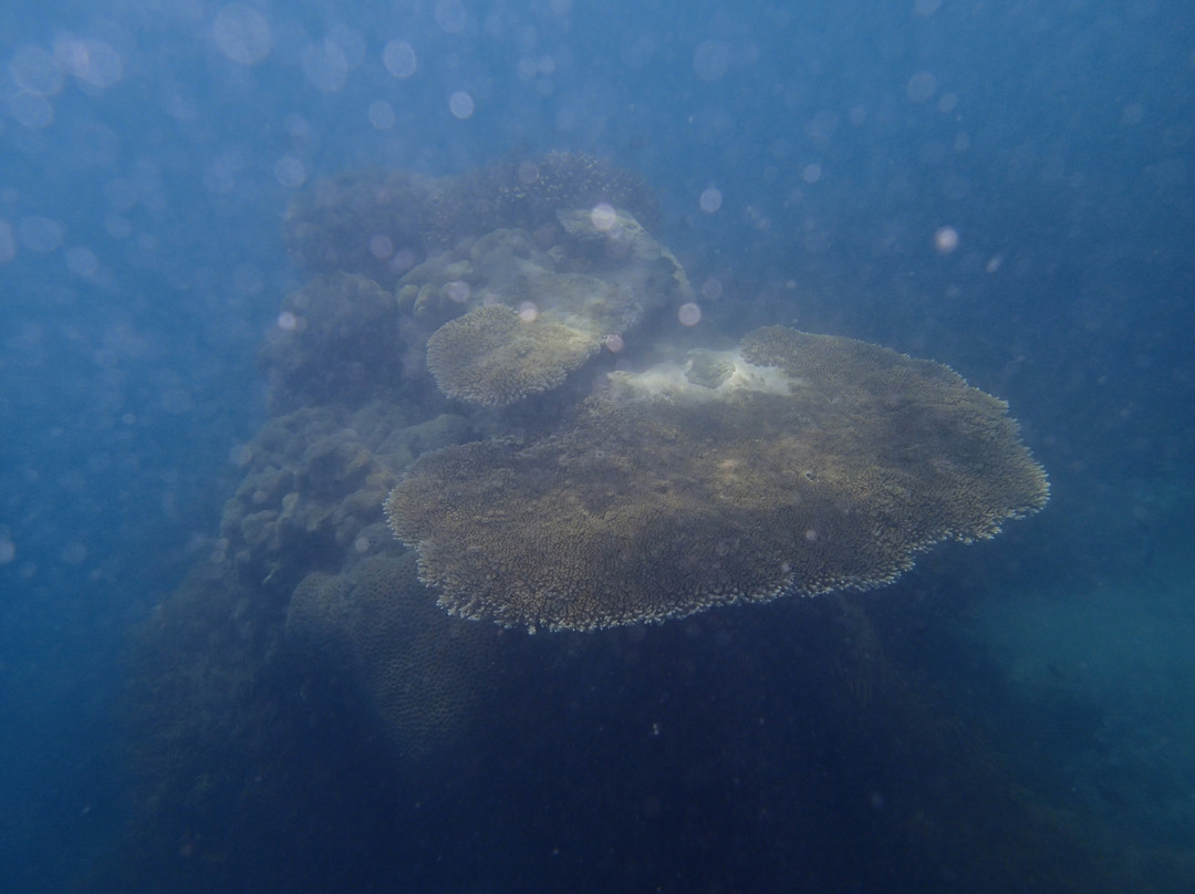 Whitsunday Islands National Park-圣灵群岛必去景点