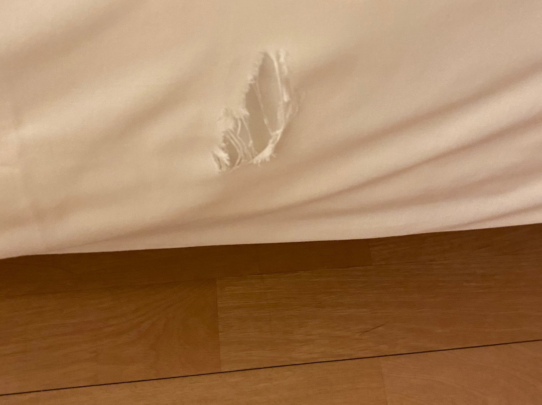 Ibis Budget Dunkerque Grande Synthe主图