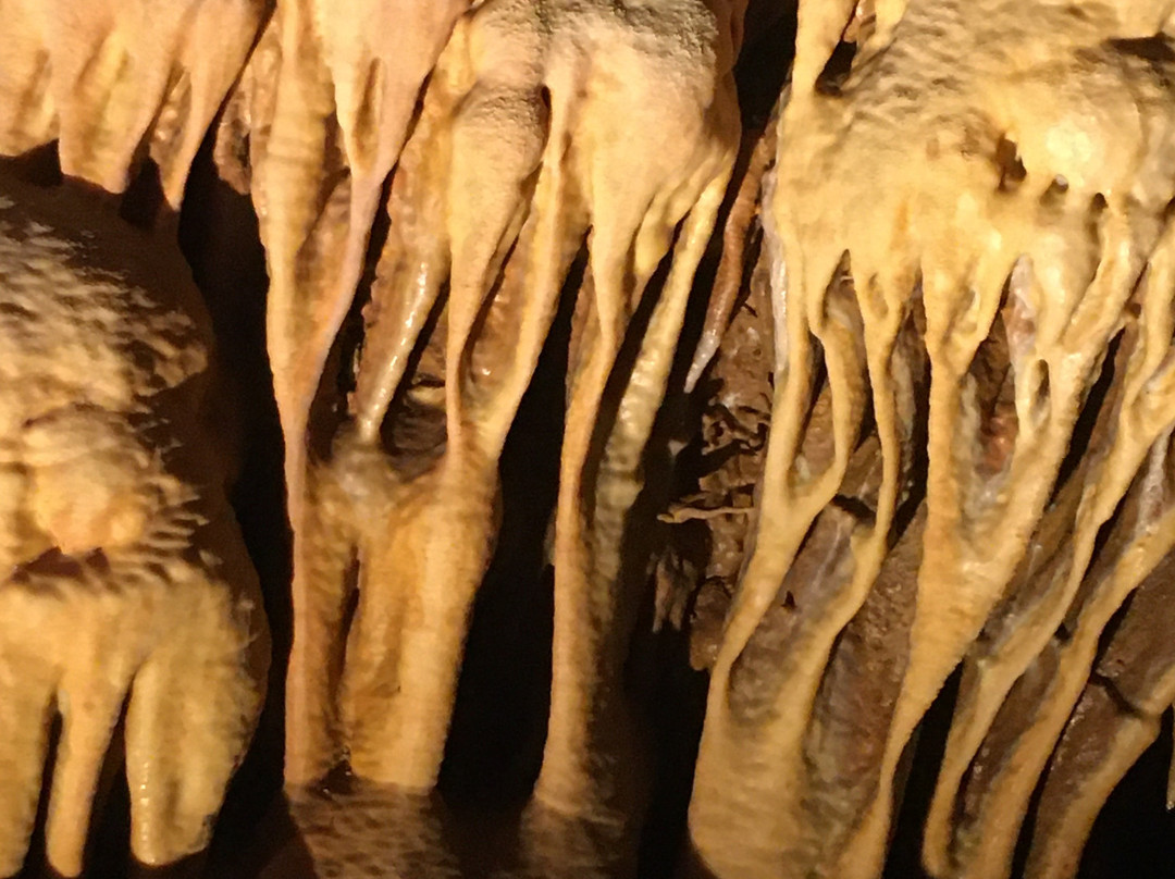 Grotte du Bosc景点图片