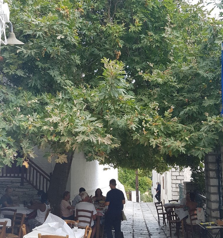 Naxos Island Tours-纳克索斯岛必去景点