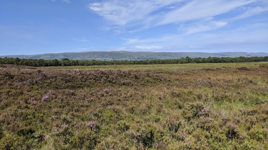 Lenzie Moss-Lenzie必去景点