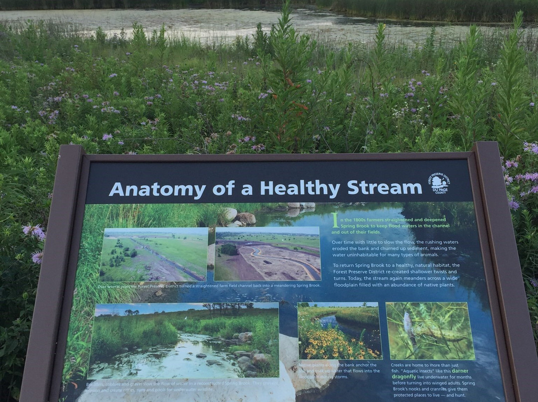 Springbrook Prairie Forest Preserve-内珀维尔必去景点