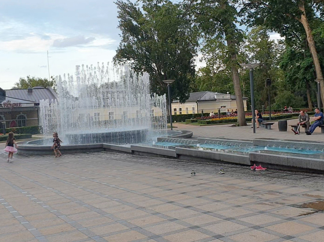 Musical Fountain-德鲁斯基宁凯必去景点