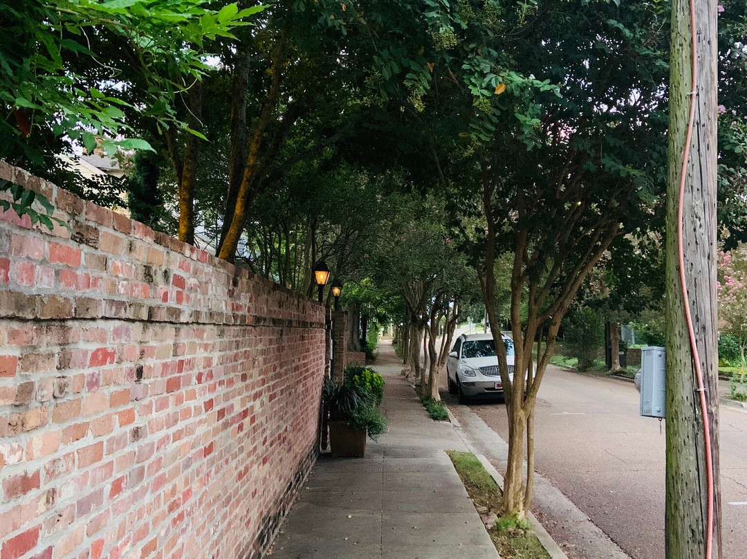 Greenlea Bed and Breakfast主图