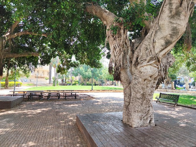 First Aliyah Museum-Zichron Yaakov必去景点