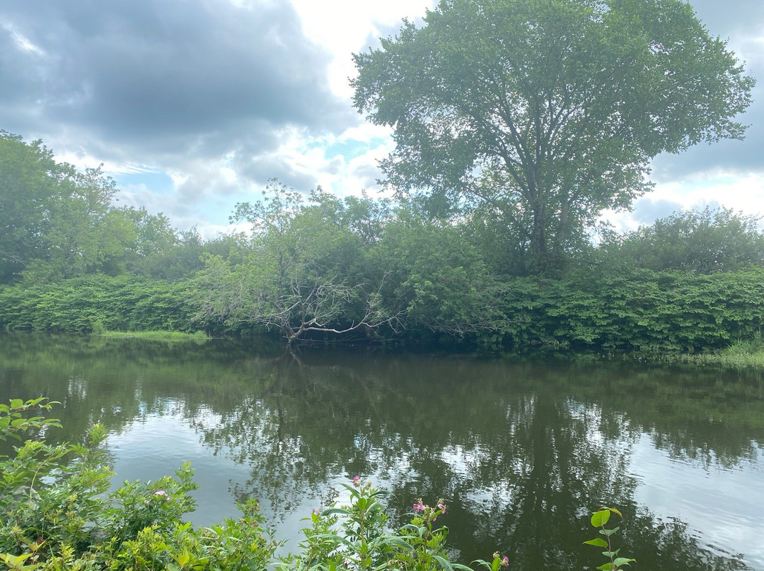 Antigonish Landing Trail-安蒂岗尼希必去景点
