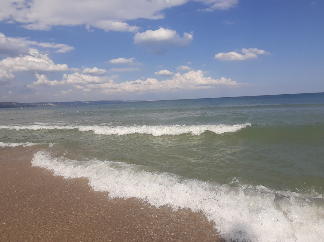 Hotel Palma Beach主图