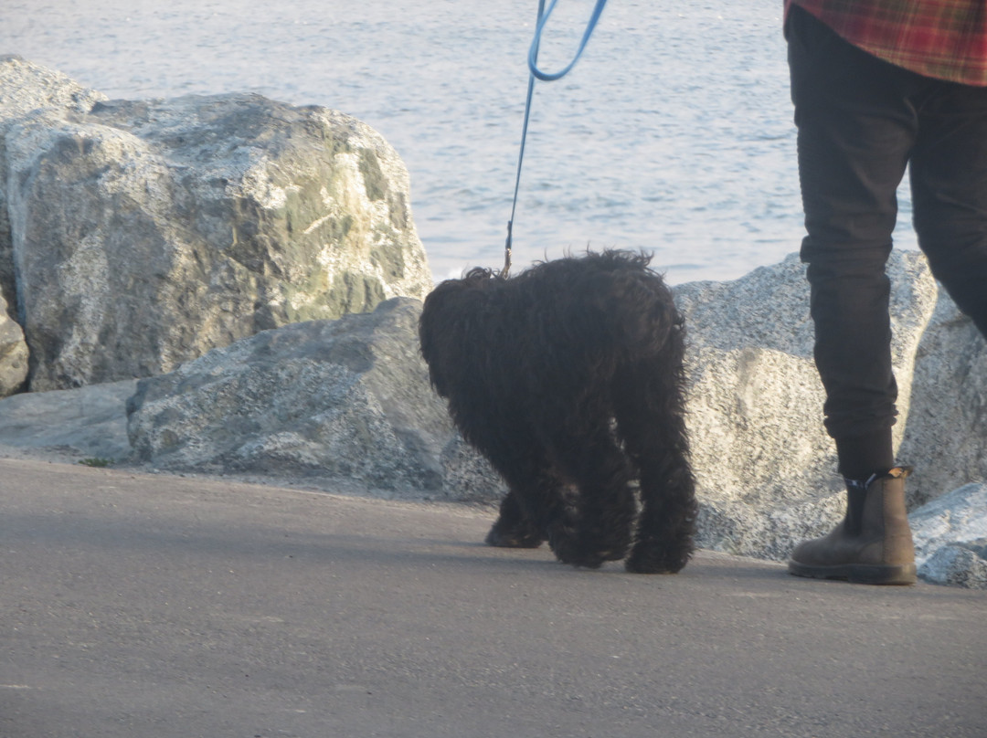 Miramar Beach-半月湾必去景点