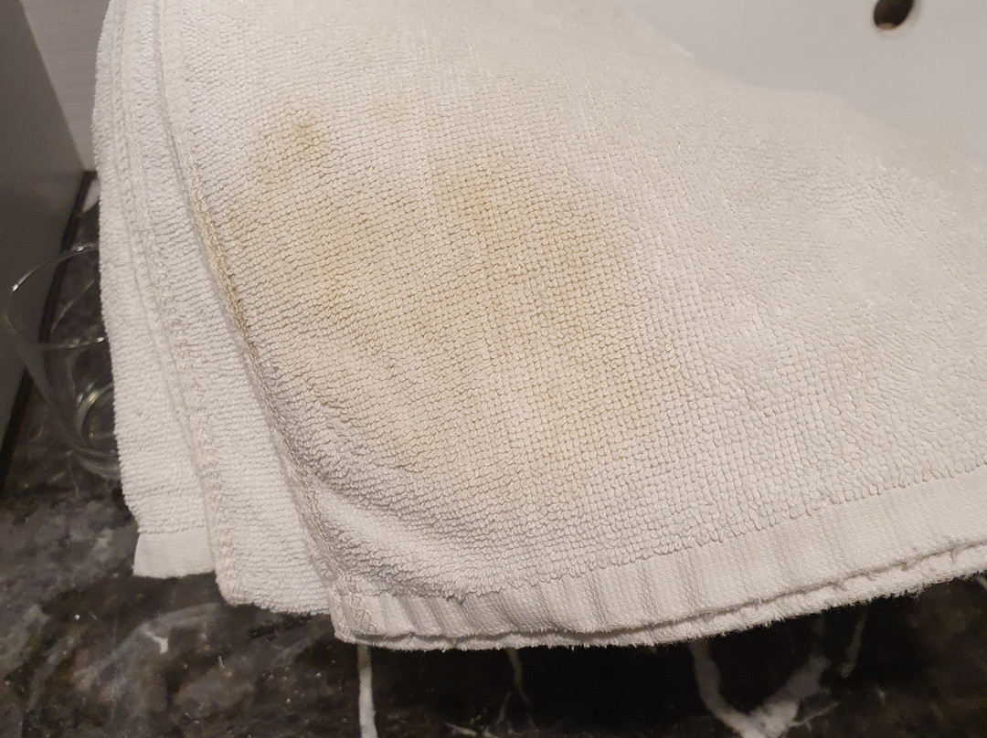 帕雷斯酒店主图