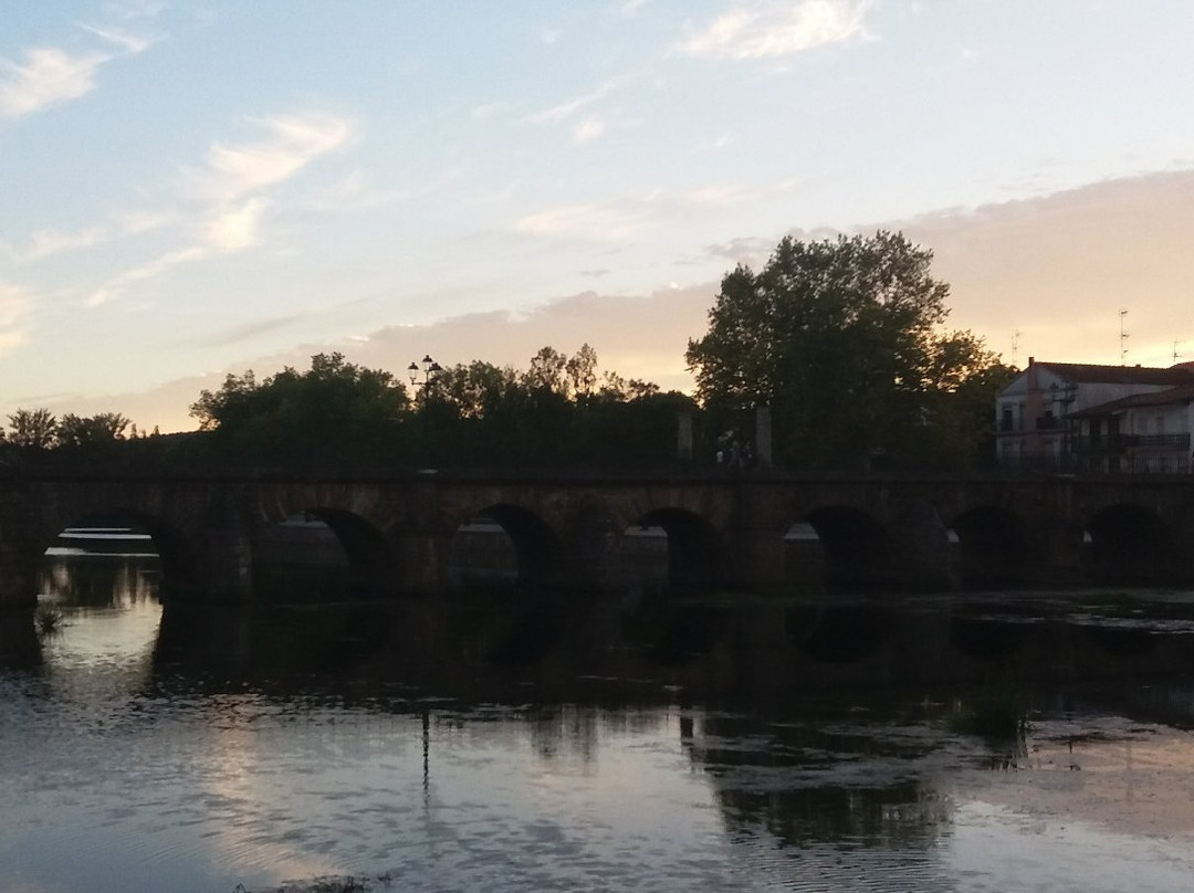 Ponte Romana de Trajano景点图片