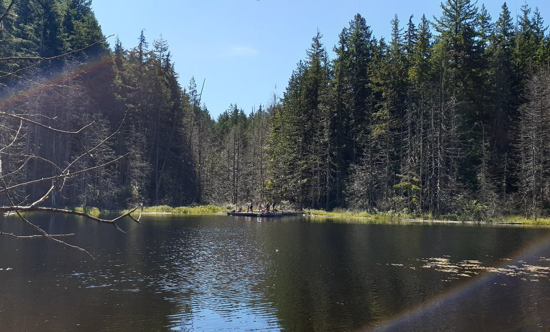 Whyte Lake Trail景点图片