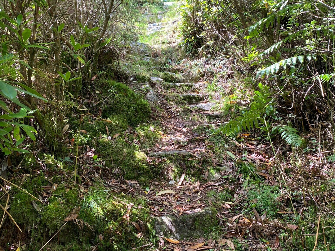 Blisland and Pendrift Downs Circular Walk景点图片