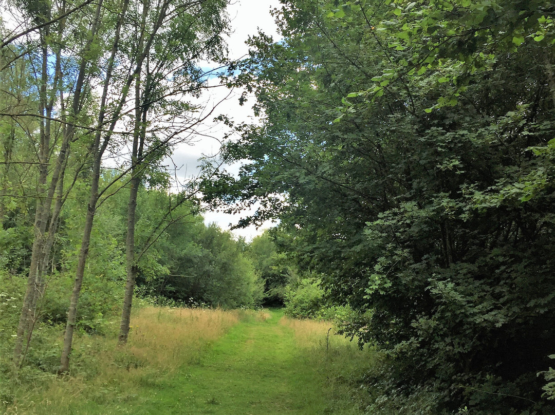 Comfort's Wood-Cranbrook必去景点