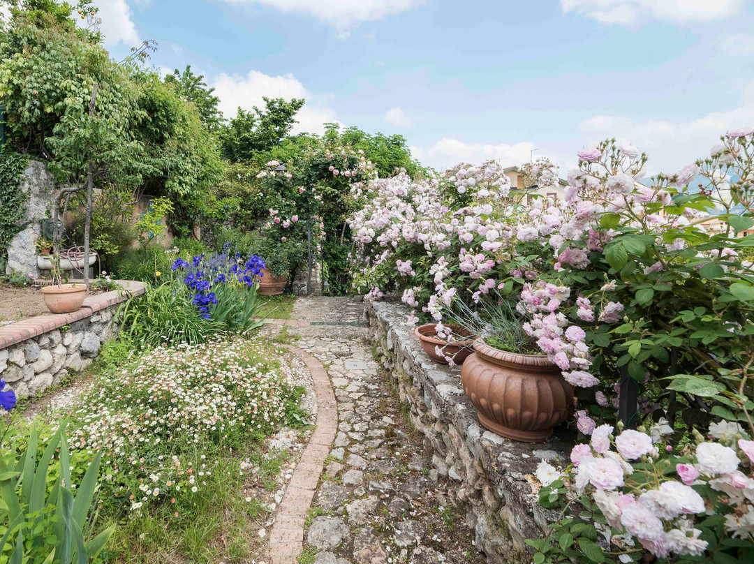 B&B Gattacicova主图