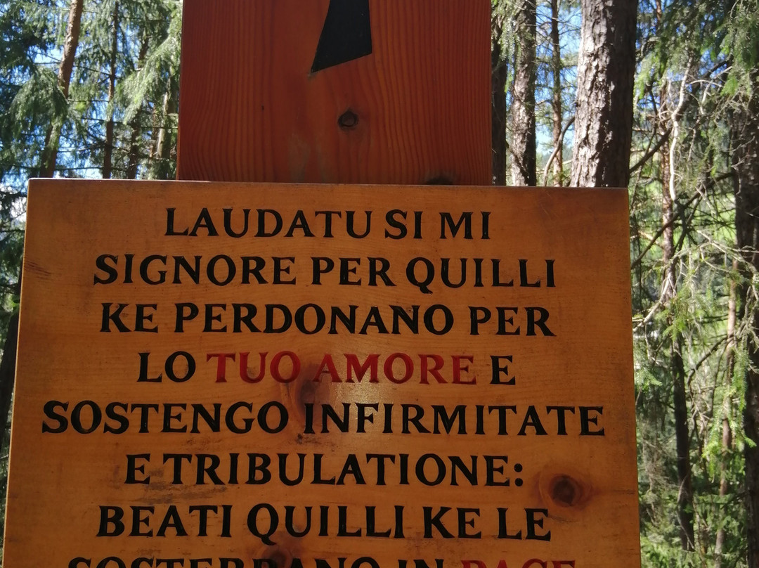 Alphotel Stocker主图