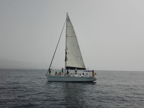 Blue Dream Sangria-洛斯·吉甘特斯必去景点