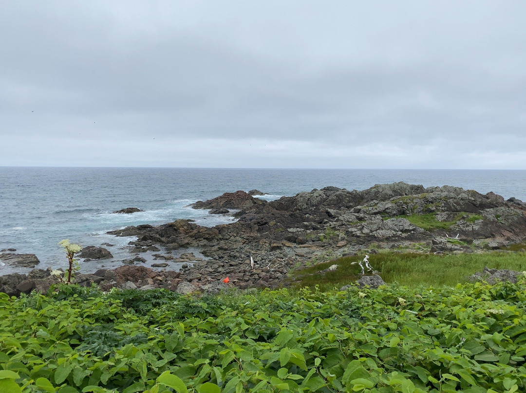 Cape Kamui-枝幸町必去景点