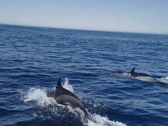 Mar Ilimitado-萨格里什必去景点
