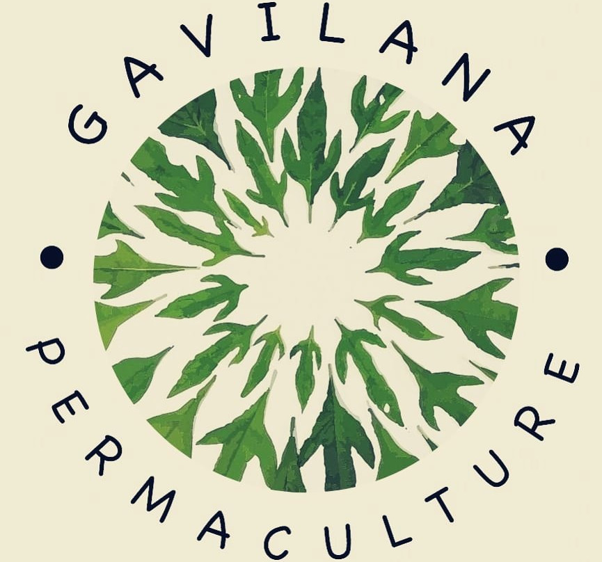 Gavilana Permaculture景点图片