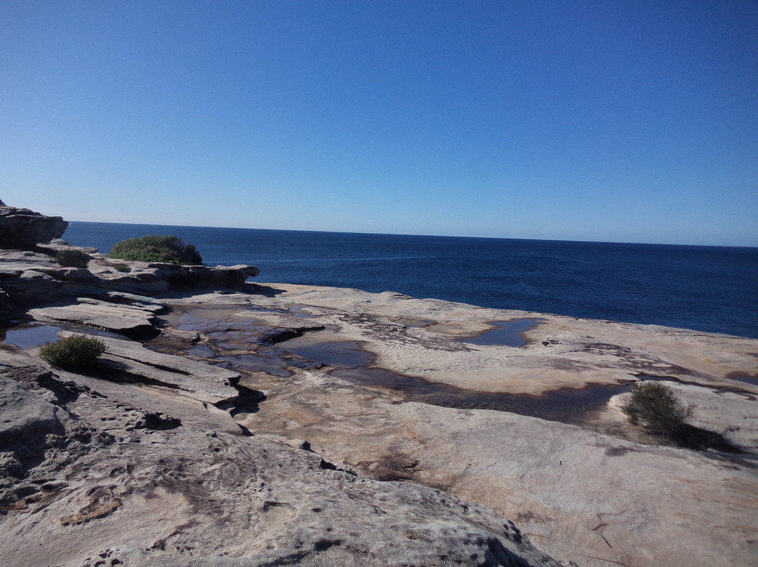 Cape Solander景点图片
