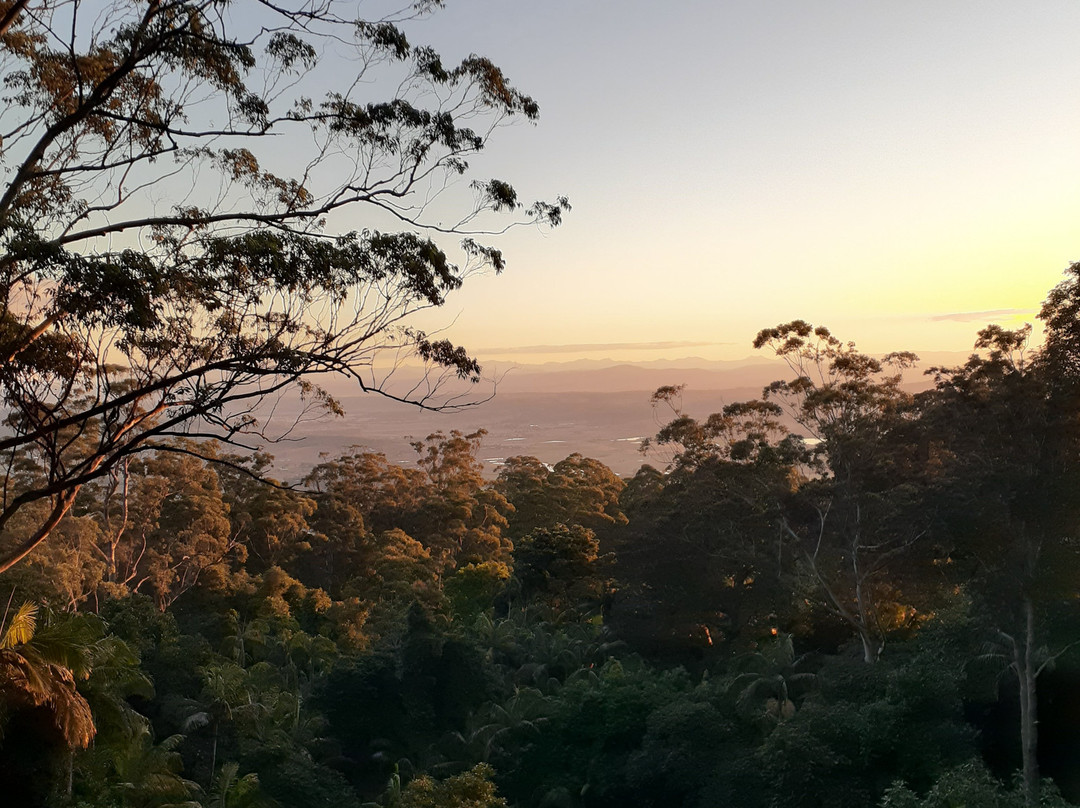 鳄梨日落住宿加早餐酒店主图