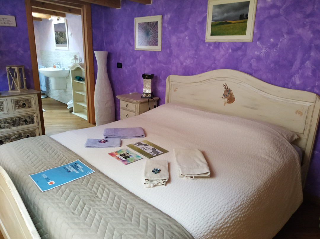 B&B Asenada