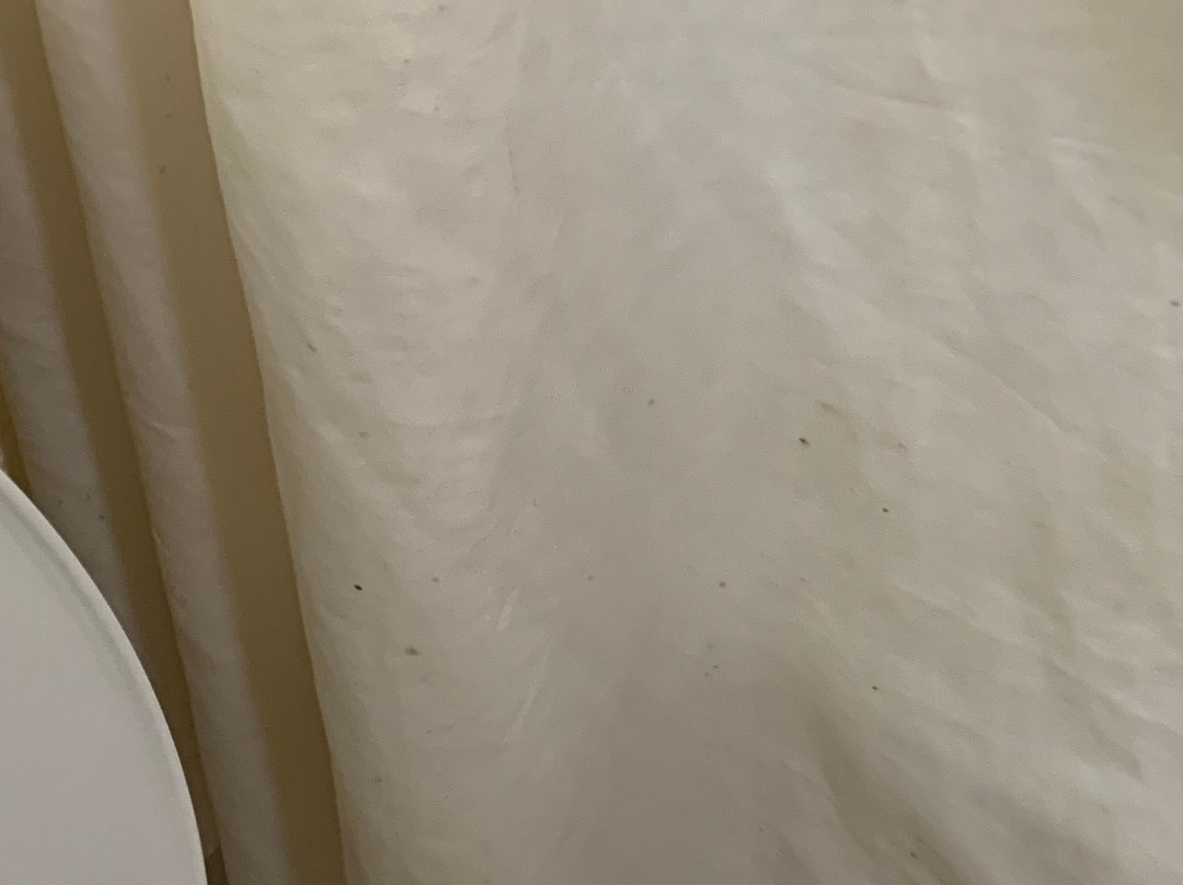 Super 8 by Wyndham Dublin主图