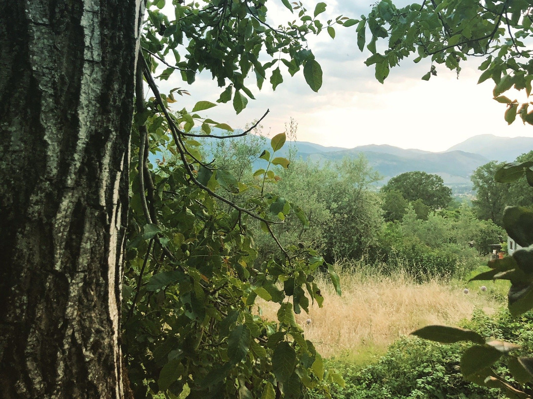 Agriturismo Casa Cauli主图