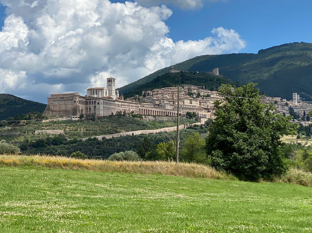 Azienda Agraria Saio-阿西西必去景点