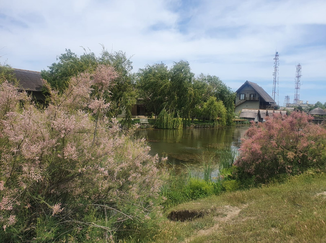 Green Village Resort主图