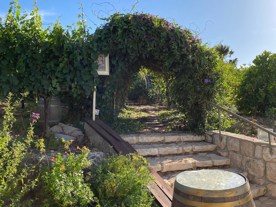 3 Vines Winery-Ramot Naftali必去景点