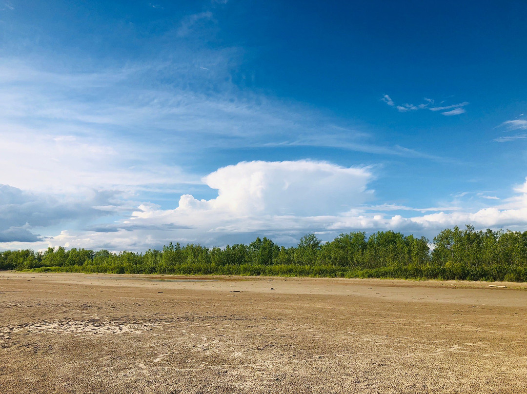 Presqu'ile Provincial Park景点图片