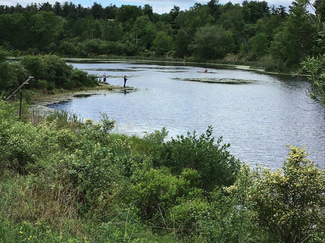 Ooms Conservation Area at Sutherland Pond景点图片