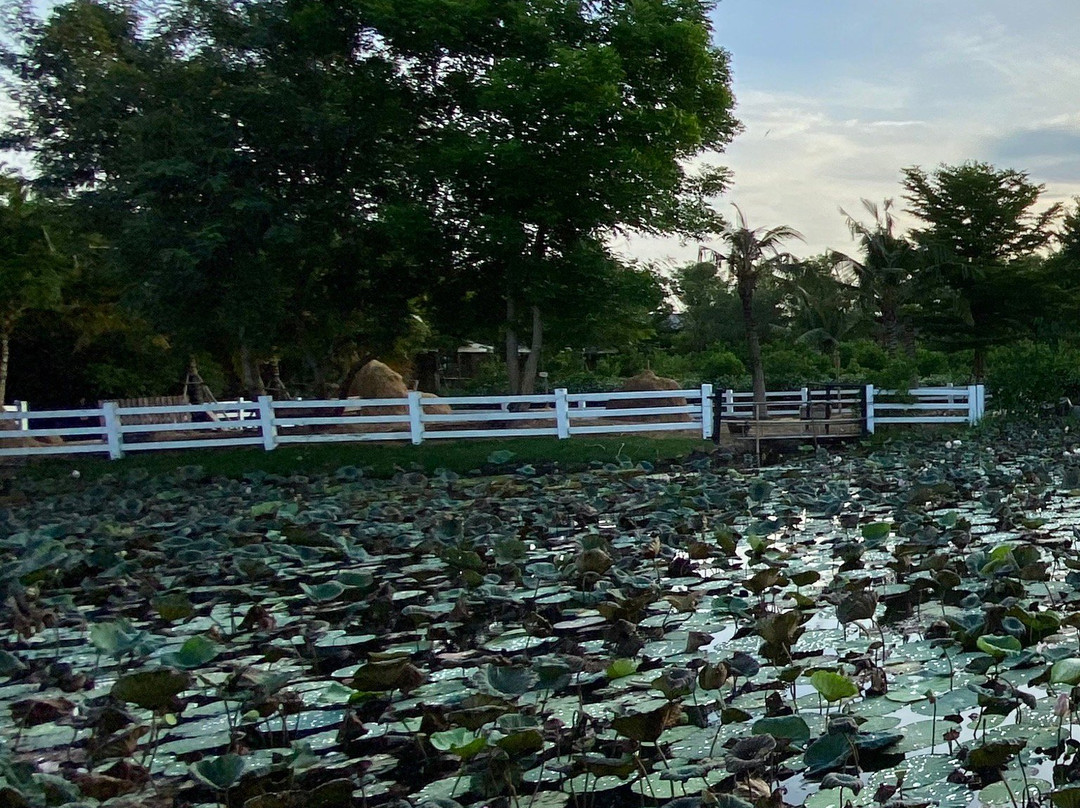 Dubua Cafe-那空猜是必去景点