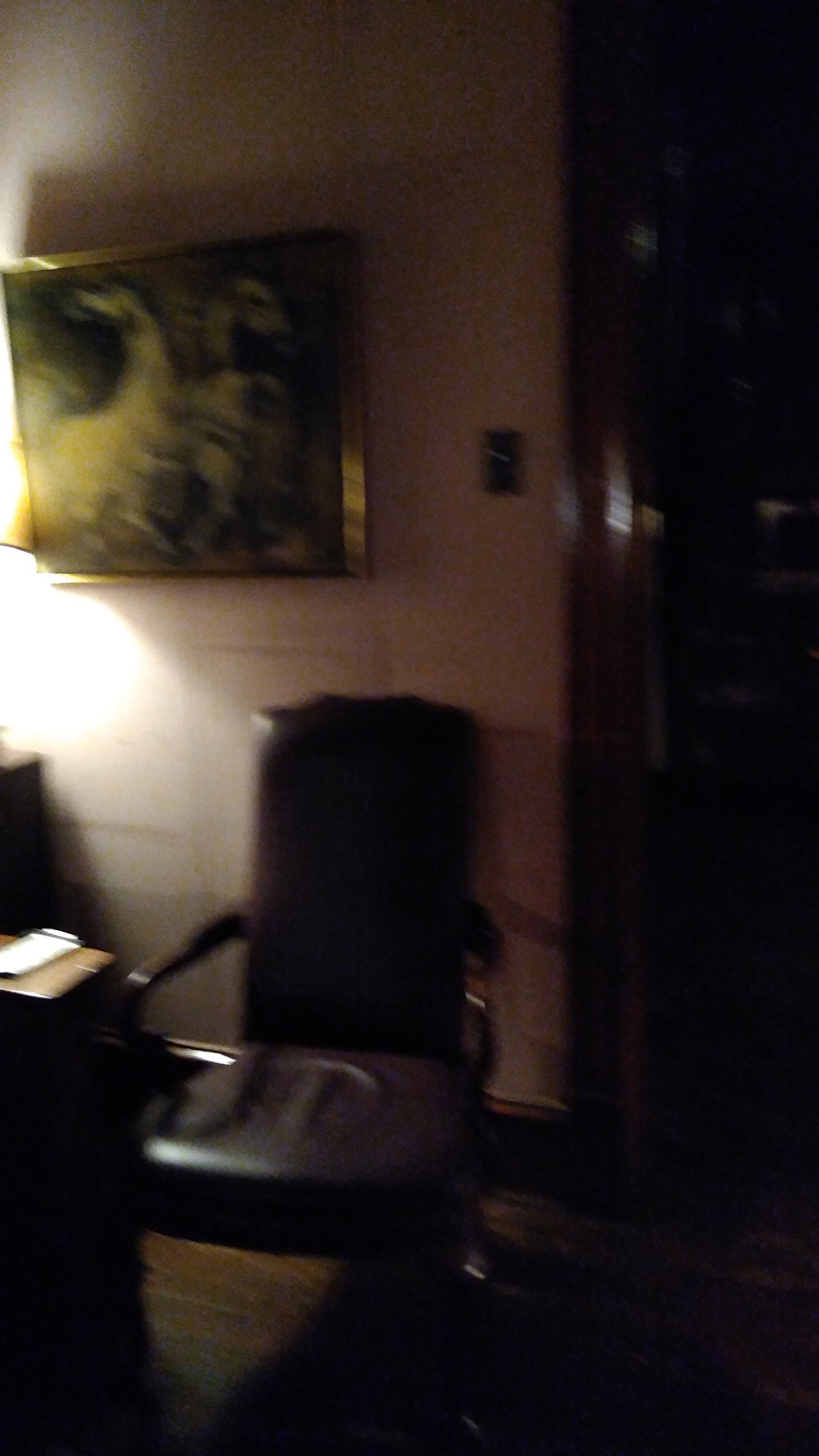 The Stone Lion Inn-官方