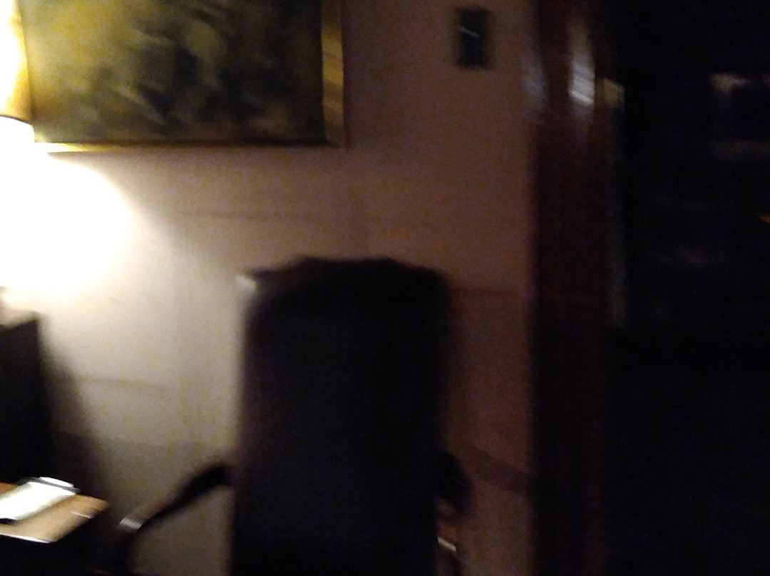 The Stone Lion Inn主图