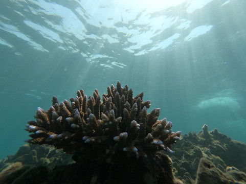 Jbm Travel-芭东海滩必去景点