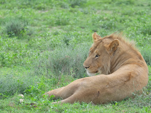 Tunu African Adventures-阿鲁沙必去景点