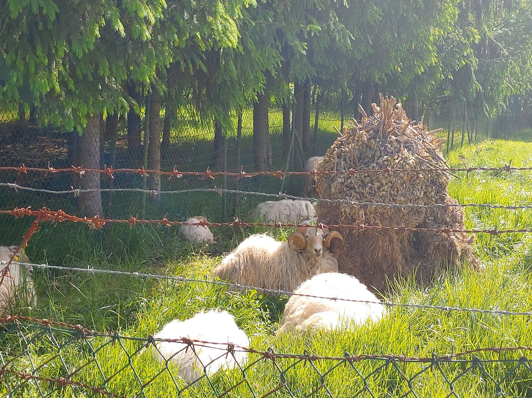 GOAZEN BIDAIAK-Etxarri-Aranatz必去景点