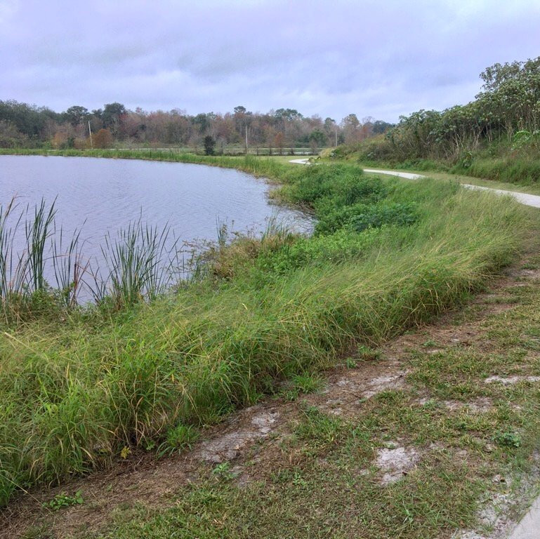 Simmers Young Park-温特黑文必去景点