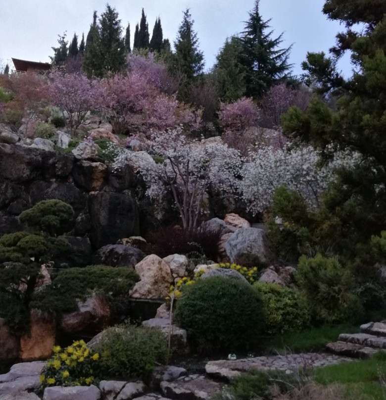Crimea Nature Preserve-阿卢什塔必去景点