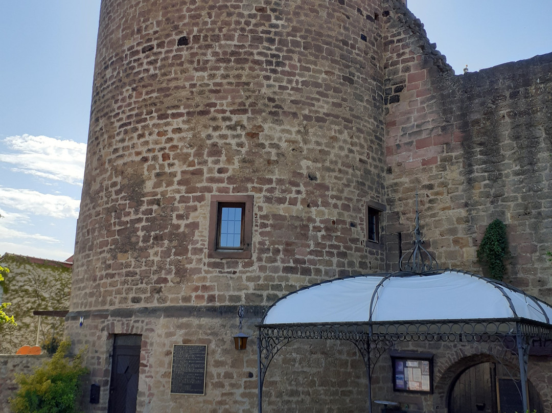 Burg Neuleiningen景点图片