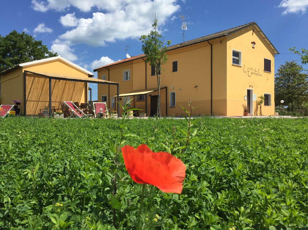 Agriturismo La Contadina