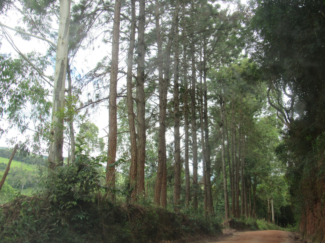 Vale do Matutu-Aiuruoca必去景点