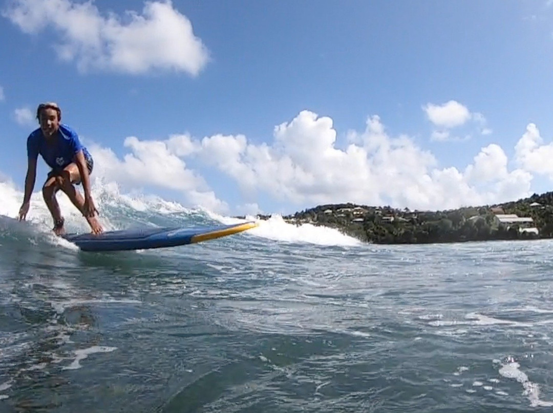 One Love Martinique Surf School-Tartane必去景点
