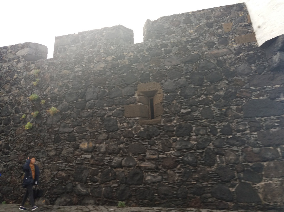 Castillo de San Miguel景点图片