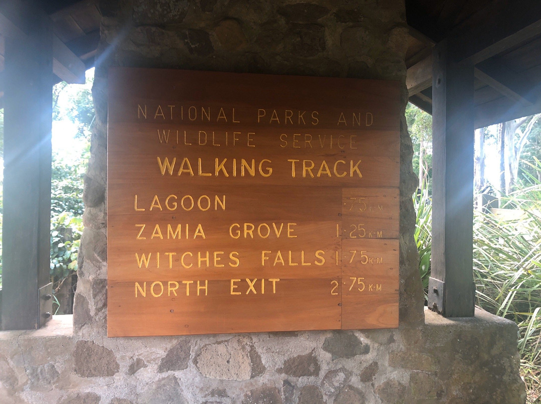 Witches Falls Walking Trail-丹百林山必去景点