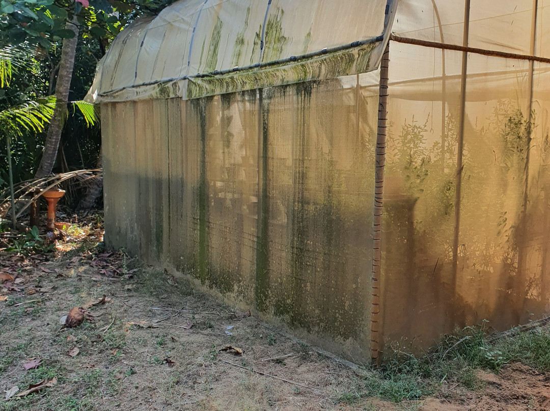 隆威利度假村酒店主图