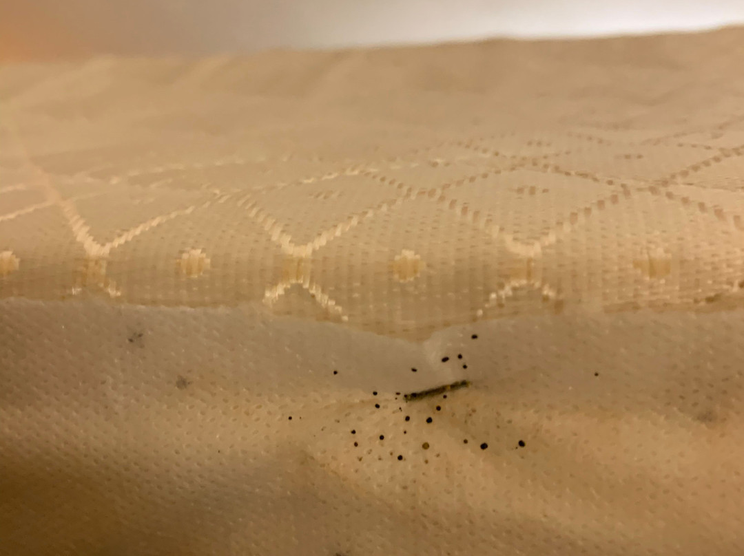 Best Western Plus Weatherford主图